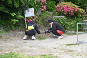 Dsc_0117 Dsc_0117