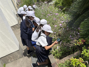 Image_20260420t162440675