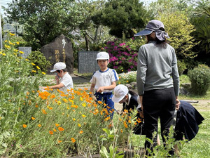 Image_20260420t162444494