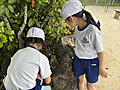 Image_20260511t172715129