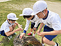 Image_20260511t172730069