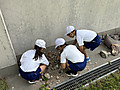 Image_20260511t172735351
