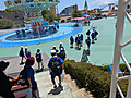 Pxl_20260513_035148956mp