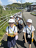 Image_20260515t173926896