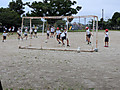Shared_image_8