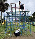 Image_20260703t160042385 Image_20260703t160042385