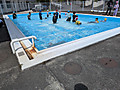 Shared_image_10
