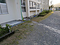 Shared_image_13
