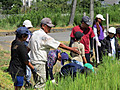 Img_6357 Img_6357