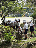 Image_20260911t163238034 Image_20260911t163238034