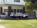 Image_20260911t163240311 Image_20260911t163240311