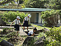 Image_20260911t163243663 Image_20260911t163243663