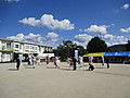 Img_6666 Img_6666